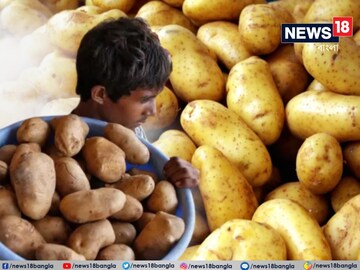 সর্বনাশ, আলু নেই! ২০২৫ সালে কী খাবেন? পুরনো আলুতে কত দিন চালাতে হবে, জেনে নিন!