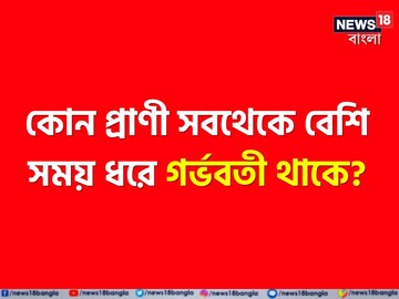 বলুন তো কোন প্রাণী সবথেকে বেশি সময় ধরে গর্ভবতী থাকে? সঠিক উত্তর জানেন না ৯৯%