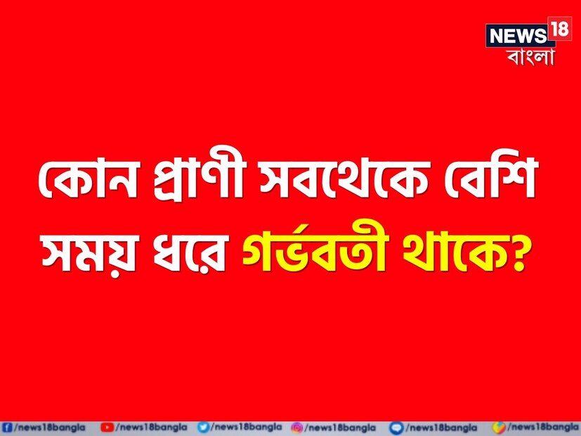 যে কোনও প্রাণীর প্রজাতির অস্তিত্ব টিকিয়ে রাখতে বংশবৃদ্ধি প্রয়োজনীয়। 