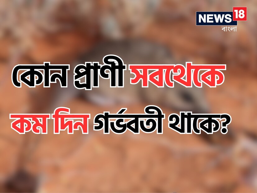 গর্ভে ডিম্বাণু নিষিক্ত হওয়া থেকে শুরু করে সন্তান প্রসব বা ডিম পাড়ার পর্ব পর্যন্ত সময়কালকে বলা হয় gestation period। এই প্রসবকালীন সময় নির্ভর করে প্রাণীর প্রজাতির উপর। এক একটা প্রাণীর গর্ভকালীন সময় এক এক রকম।