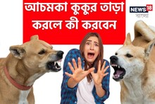 কুকুর হঠাৎ রাস্তায় তাড়া করলে কী করবেন...? সাবধান! 'এই' কাজটি খবরদার নয়!