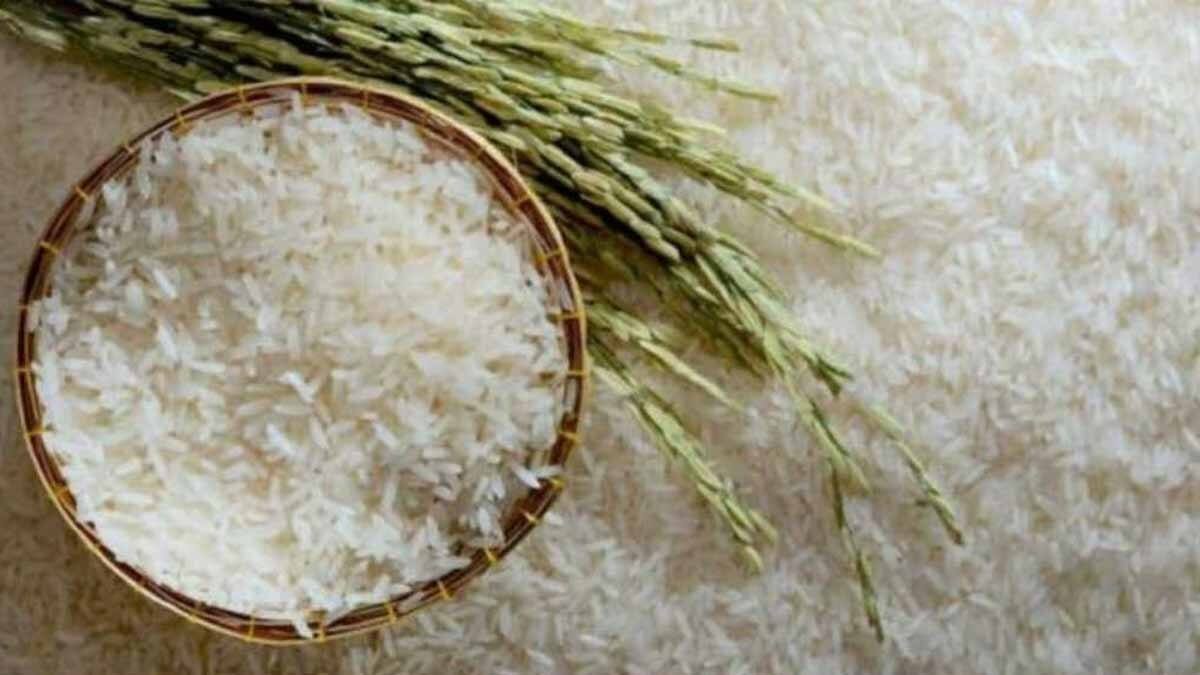 বাঁশকাটি চাল আগে ছিল ৫৫টাকা কেজি এখন ৭০, মিনিকেট আগে ছিল ৬০ টাকা এখন ৭০, রত্না আগে ৩৮ এখন ৪৫গোবিন্দভোগ আগে ৮০ এখন ১০০।