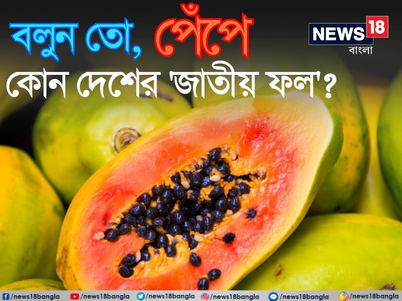 জেনারেল নলেজ বা কারেন্ট অ্যাফেয়ার্স সংক্রান্ত প্রশ্ন ও উত্তরের নিয়মিত চর্চা যেমন আমাদের দেশ বিদেশ ও বিশ্ব জগতের নানাবিধ জ্ঞান বাড়ায় তেমনই এই সাধারণ জ্ঞান দারুণ কার্যকরী ভূমিকা নিতে পারে নানা প্রতিযোগিতামূলক পরীক্ষা থেকে ঘরোয়া আড্ডা বা ক্লাব ক্যুইজে।