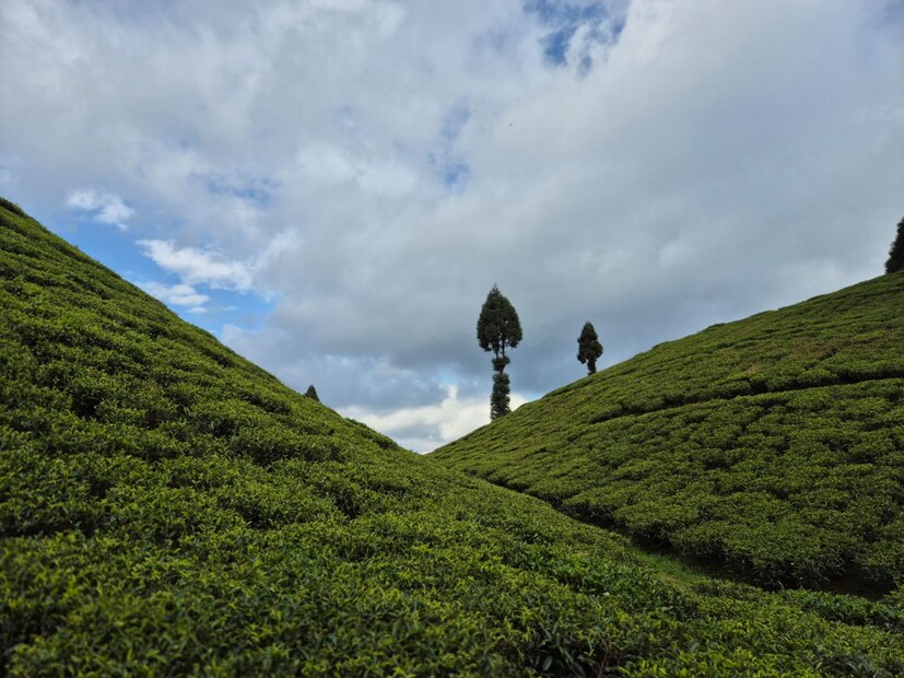 সিকিম সংলগ্ন উঁচু পার্বত্য এলাকায় হতে পারে হালকা তুষারপাত। শিলাবৃষ্টির সম্ভাবনা কালিম্পংয়ে। রবিবার উত্তরবঙ্গের সব জেলাতেই বৃষ্টি। বছরের শুরুতে শীতের আমেজ বাড়বে। তবে কনকনে ঠান্ডা বা জাঁকিয়ে শীতের সম্ভাবনা কম। 