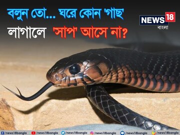 বাড়িতে কোন 'গাছ' লাগালে 'সাপ' আসে না বলুন তো..? চমকে দেবে এই 'নাম', গ্যারান্টি!