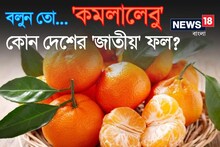 'কমলালেবু' কোন দেশের 'জাতীয় ফল' বলুন তো..! চমকে দেবে 'উত্তর', গ্যারান্টি!