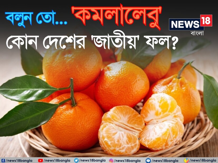 শুধু পড়াশোনা করলেই হল না। পরীক্ষার ফল থেকে চাকরি বা ঘরোয়া আড্ডা, নজর কাড়তে চাই জিকে বা সাধারণ জ্ঞানের অফুরান ভাণ্ডার। তাই প্রতিনিয়ত নানা ভাবে এই বিষয়ের চর্চা চালিয়ে যাওয়া জরুরি।