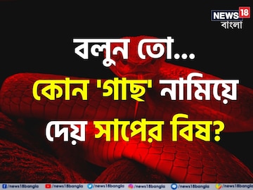 ৫ মিনিটে ছাড়ায় বিষধর সাপের 'বিষ'...! কোন 'গাছ' বলুন তো? চমকে দেবে নাম, শিওর!