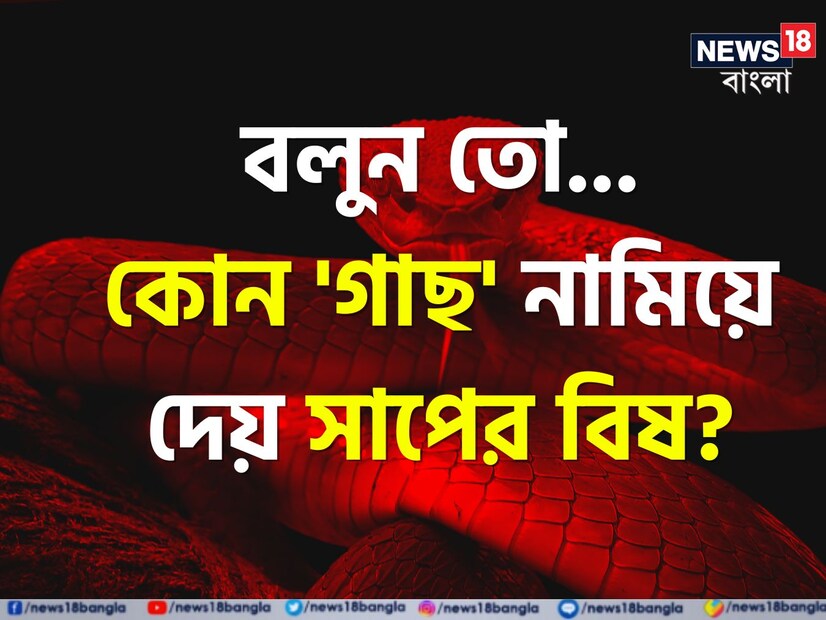 সাপ দেখলেই আমরা শিউরে উঠি। কারণ এই সরীসৃপের বিষয়ে প্রতিবছর বহু মানুষের জীবনে বড় ঝুঁকি নেমে আসে। বিশেষ করে গ্রাম বাংলার ঘরে ঘরে সাপ নিয়ে আতঙ্ক। বর্ষাকালে এই উপদ্রব বাড়লেও শীতেও কিছু কম থাকে না সাপের ভয়। উষ্ণতা খুঁজতে বাড়িতে ঢুকে আসে নিঃশব্দে এই প্রাণীটি।