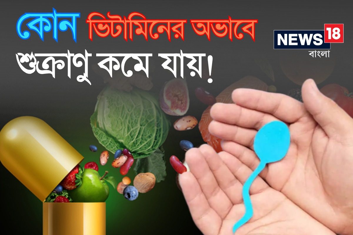 'এই' ভিটামিনের ঘাটতি হলেও কমে যেতে পারে শুক্রাণু... পুরুষেরা দু'বার পড়ুন