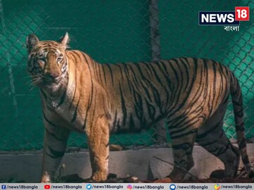 News18