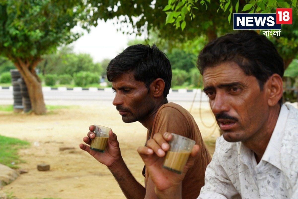 চা খেলি কি গায়ের রং কালো হয়, নাকি সবটাই 'মিথ'? খাওয়ার আগে 'আসল' বিষয় জানুন