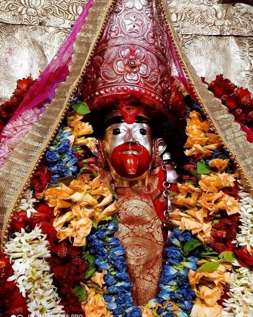বকুল অমাবস্যায় নিরামিষ আহার গ্রহণ করুন৷ বাড়িতে বা মন্দিরে দেবী কালীর বিগ্রহ বা ছবির সামনে প্রজ্বলন করুন ঘিয়ের প্রদীপ৷