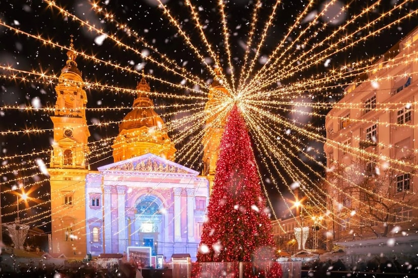চার্লস ডিকেন্সের কালজয়ী উপন্যাস ‘A Christmas Carol’ প্রকাশিত হয় ১৮৪৩ সালে৷ এই উপন্যাসেও “We wish you a Merry Christmas&quot; ক্যারলটি আছে এবং জনপ্রিয় হয়৷