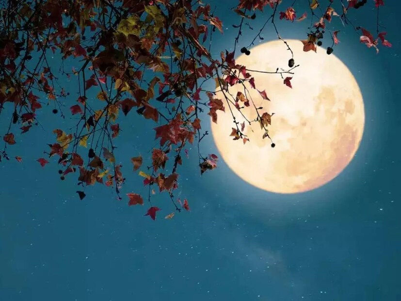 পশ্চিমী দুনিয়ায় একে বলা হয় Wolf Moon৷ প্রাচীন কাল থেকে এই নামকরণ করা হয়ে এসেছে৷ মনে করা হয় এই পূর্ণিমায় চাঁদের আলোয় একসঙ্গে ডেকে ওঠে নেকড়ের দল৷ 