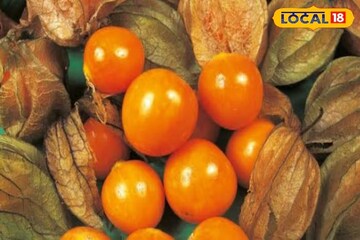 গিলে খাবে ডায়াবেটিসকে! ১০০টি রোগের মহৌষধ 'এটি',এই ফল নিংড়ে বার করবে সুগারের বংশ