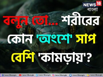 শরীরের কোন 'অংশে' সাপ সবচেয়ে বেশি 'কামড়ায়' বলুন তো...? চমকে দেবে উত্তর! শরীরের কোন 'অংশে' সাপ সবচেয়ে বেশি 'কামড়ায়' বলুন তো...? চমকে দেবে উত্তর!