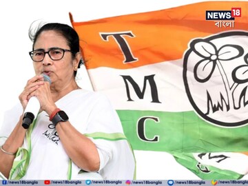 নতুন বছরের আগাম শুভেচ্ছা মমতার