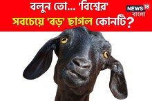 'বিশ্বের' সবচেয়ে 'বড়' ছাগল কোনটি জানেন...? পাকিস্তানের জাতীয় পশু! 'ডাবল' চমক!