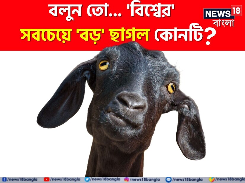 আমাদের দেশের জাতীয় পশু কী, তা কে না জানে। এর জন্য কী আর সাধারণ জ্ঞানের পাঠ পড়তে হবে? ছোট থেকে বড় সকলেই জানে আমাদের জাতীয় পশু হল বাঘ। রয়্যাল বেঙ্গল টাইগার। প্রচণ্ড ক্ষিপ্রতা, দ্রুত গতি এবং তৎপরতার প্রতীকই শুধু নয়, বাঘ খুব ভাল শিকারীও। কিন্তু কখনও কি ভেবে দেখেছেন প্রতিবেশী দেশ পাকিস্তানের জাতীয় পশু আসলে কী?