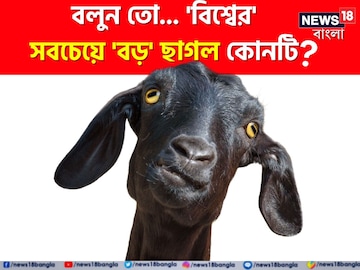 'বিশ্বের' সবচেয়ে 'বড়' ছাগল কোনটি জানেন...? পাকিস্তানের জাতীয় পশু! 'ডাবল' চমক! 'বিশ্বের' সবচেয়ে 'বড়' ছাগল কোনটি জানেন...? পাকিস্তানের জাতীয় পশু! 'ডাবল' চমক!
