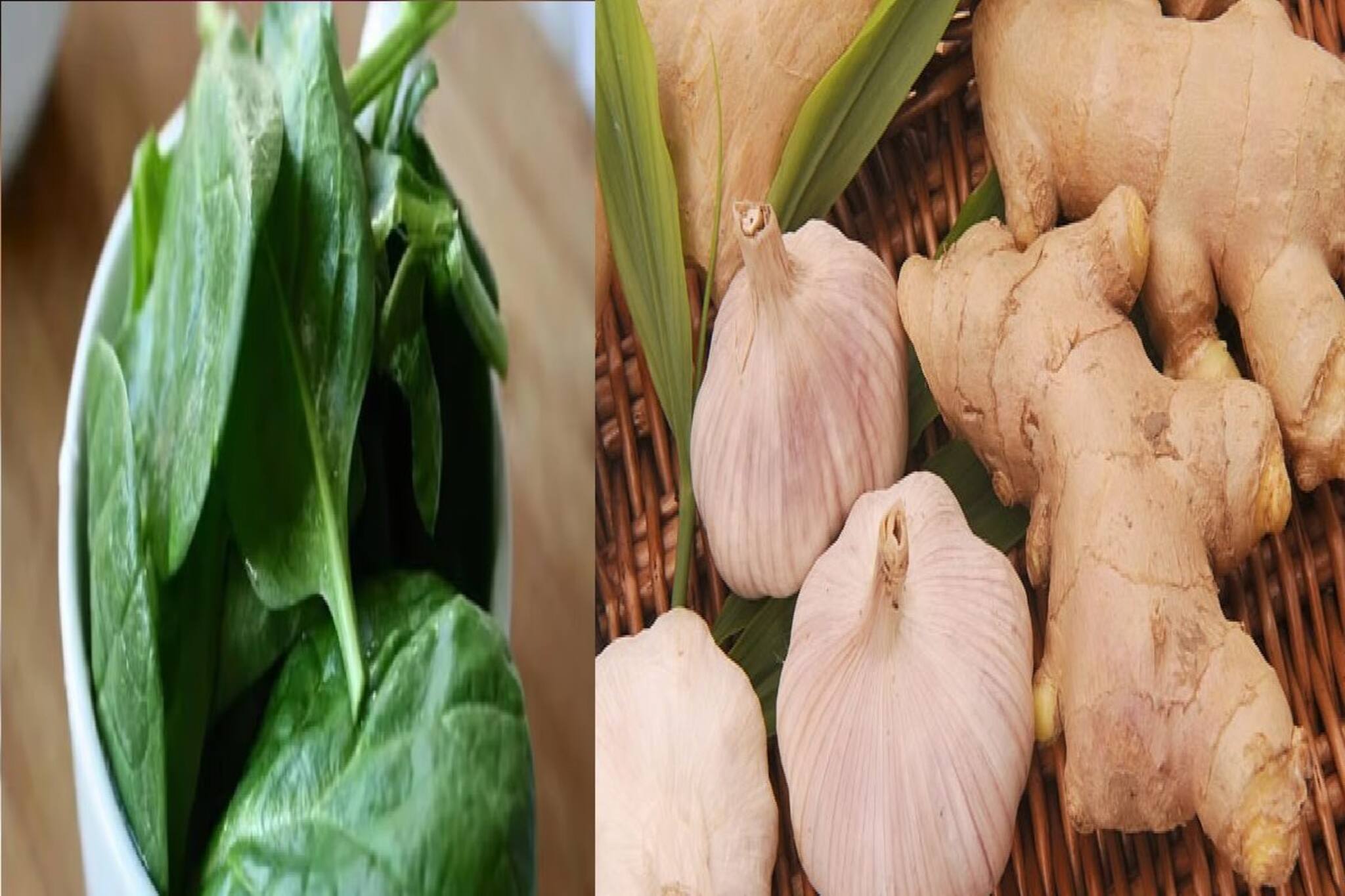 গোটা শীতে আদা-পালং-রসুন কোনওদিন ভুলবেন না, কী কী উপকার জানেন? জানিয়েছেন বিশেষজ্ঞ