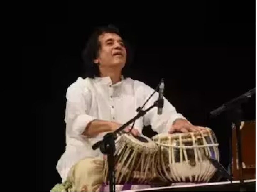 এর পাশাপাশি, সিলিকা ধুলো, অ্যাসবেস্টস ফাইবার, হার্ড মেটাল ধুলো, কয়লা ধুলো, ছাঁচ এবং পাখির বিষ্ঠাও এই রোগের জন্য ঝুঁকি তৈরি করতে পারে। তবে এখন পর্যন্ত এ ধরনের উপাদানগুলি এই রোগের কারণ হিসেবে প্রমাণিত হয়নি।