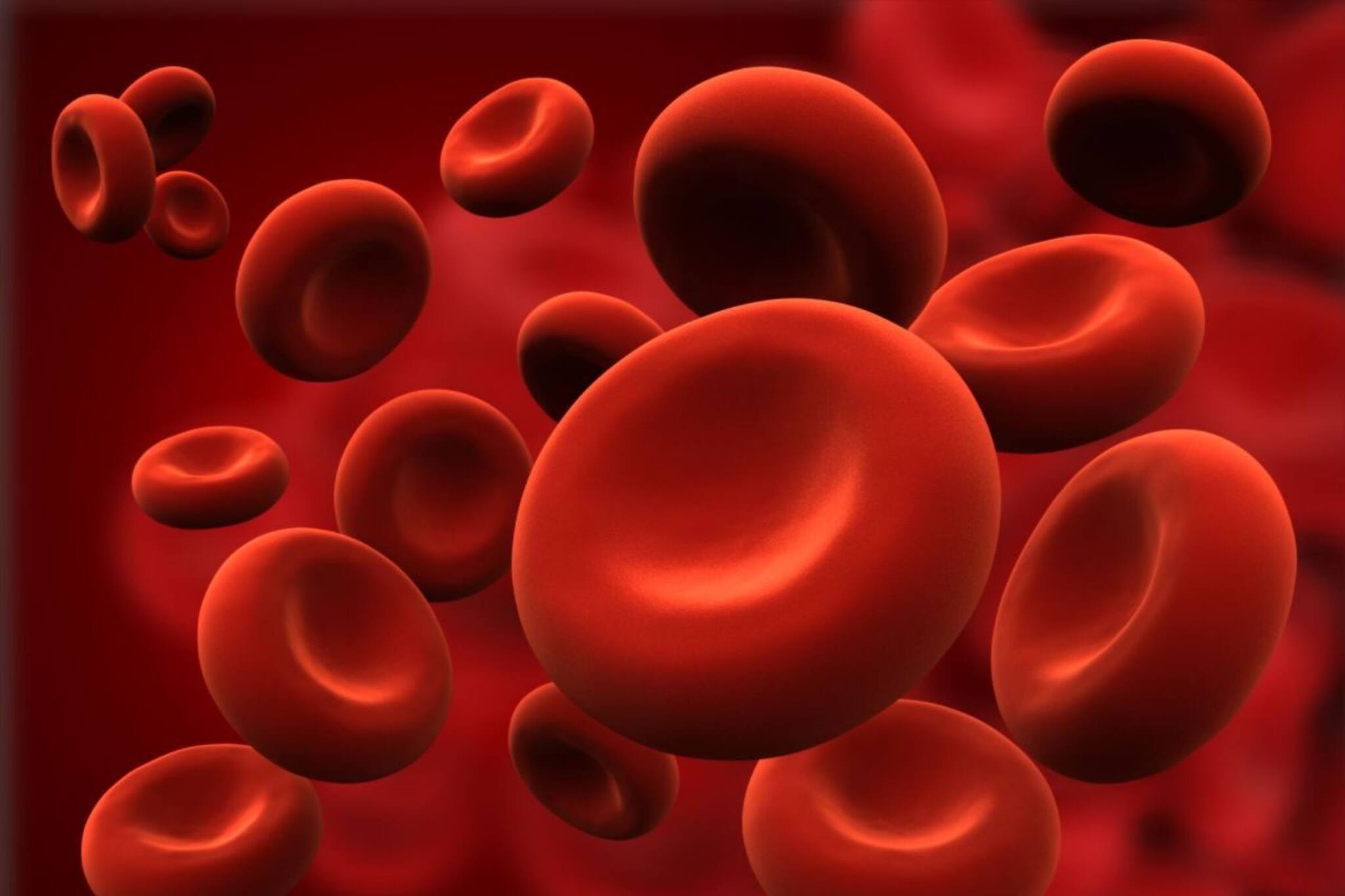 বিশ্বের বিরলতম রক্তের গ্রুপ কোনটি জানেন? মোটে ৪৩ জনের শরীরেই মিলেছে এই বিশেষ জিনিস...