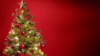 christmas tree christmas tree