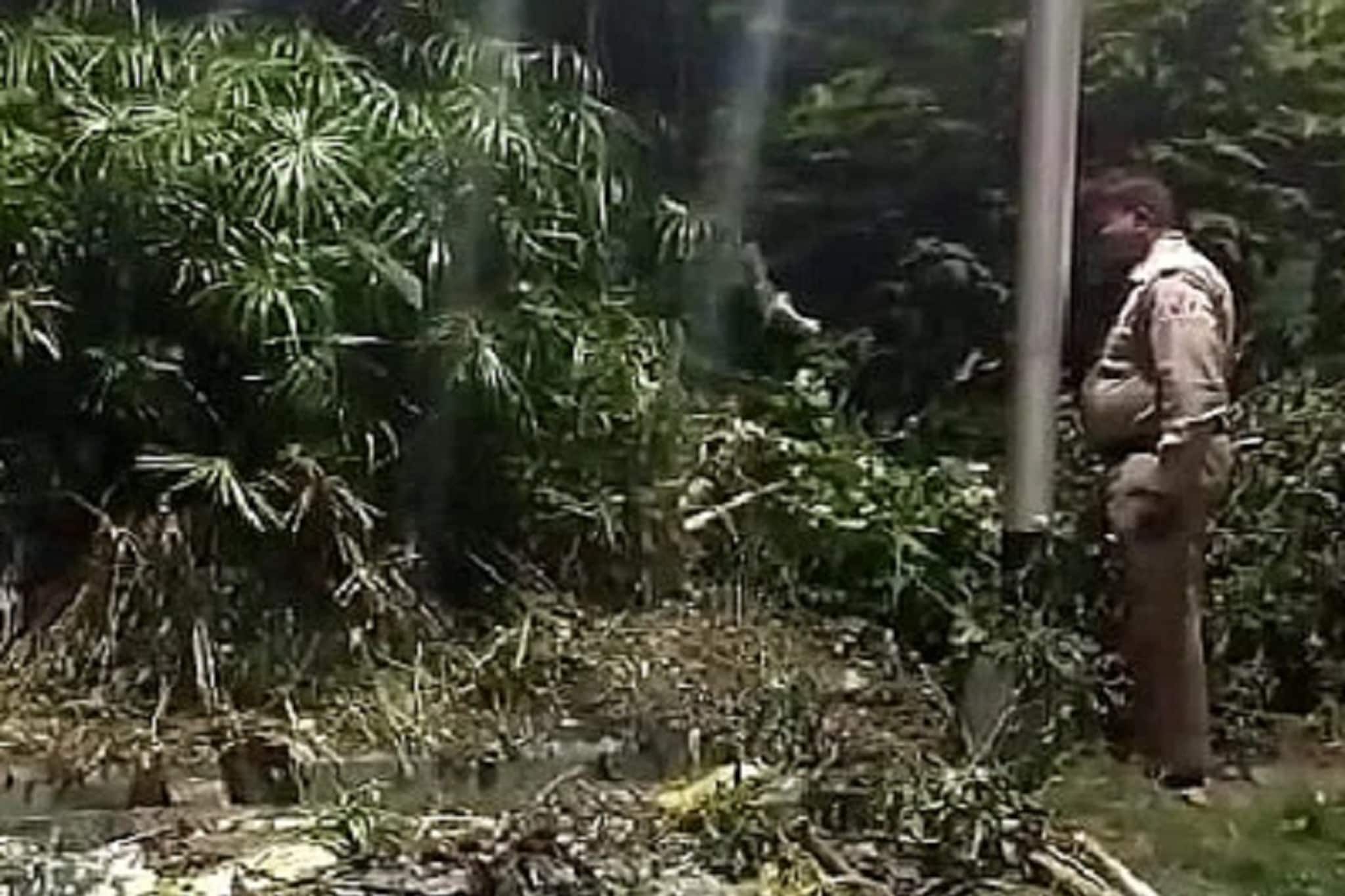 স্কুলের পাশে ঝোপের মধ্যে ওটা কী! তাও আবার পায়ে লোহার রড পাত বসানো!