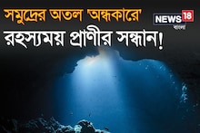 সমুদ্রের অতল 'অন্ধকারে' বিজ্ঞানীরা খুঁজে পেলেন রহস্যময় জীব!