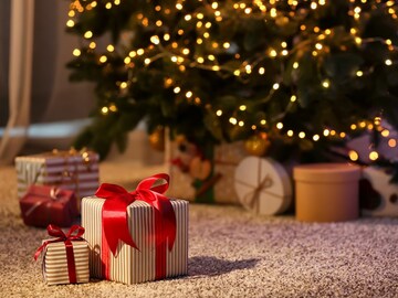 Christmas 2024 Gift Idea