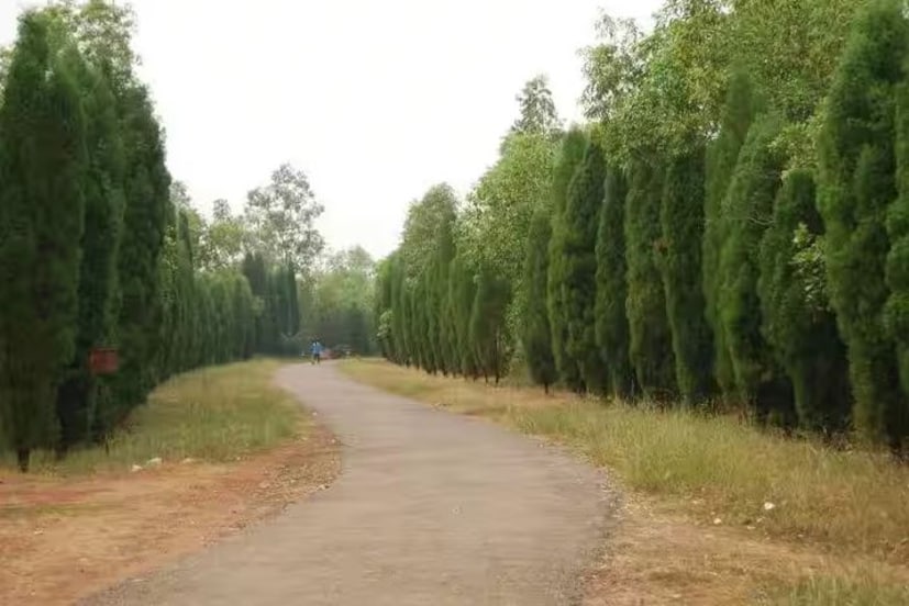 তাই যারা দূরদূরান্ত থেকে ঘুরে আসার প্ল্যান করছেন তারা ঘুরে দেখতে পারেন মেদিনীপুর শহরের গোপগড় ইকোপার্ক। সবুজের প্রান্তরে এলে মন ভালো হয়ে যাবে আপনার, একটা দিন কাটিয়ে আবার ফিরতে পারবে নিজের গন্তব্যে। কীভাবে পৌঁছবেন এখানে? বাসে কিংবা ট্রেনে অথবা প্রাইভেট গাড়িতে পৌঁছানো যাবে এই পার্কে।