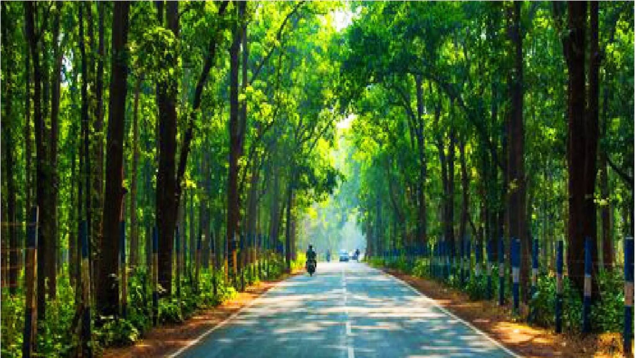 Couple Friendly Lake: ক্রিস্টাল ক্লিয়ার জলরাশি! হাতে-হাত রেখে পাশাপাশি বসে থাকা, আসবেন নাকি ঘুরতে