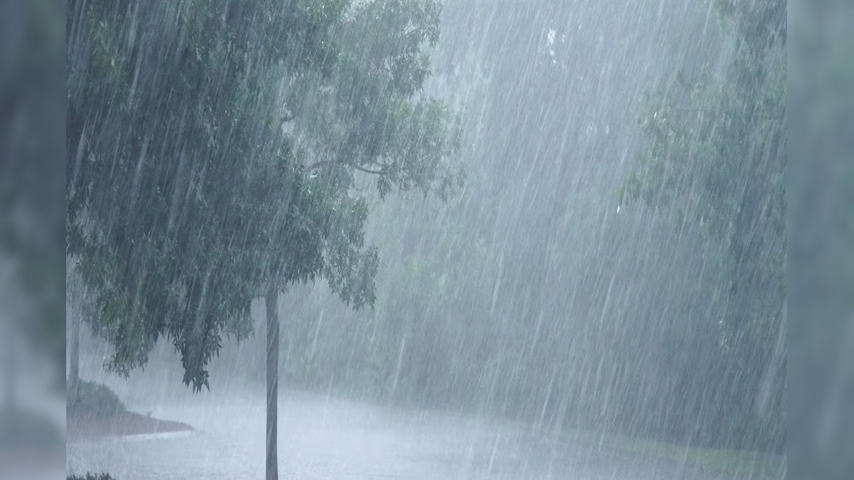 Weather Alert: ভারী বৃষ্টিপাতের হলুদ সতর্কতা...! আগামী ২৪ ঘণ্টায় ৪ রাজ্য কাঁপাবে ঝড়-জল! ১১ রাজ্যে 'ঘন' কুয়াশা! কী হবে বাংলায়? IMD দিল সতর্কবার্তা