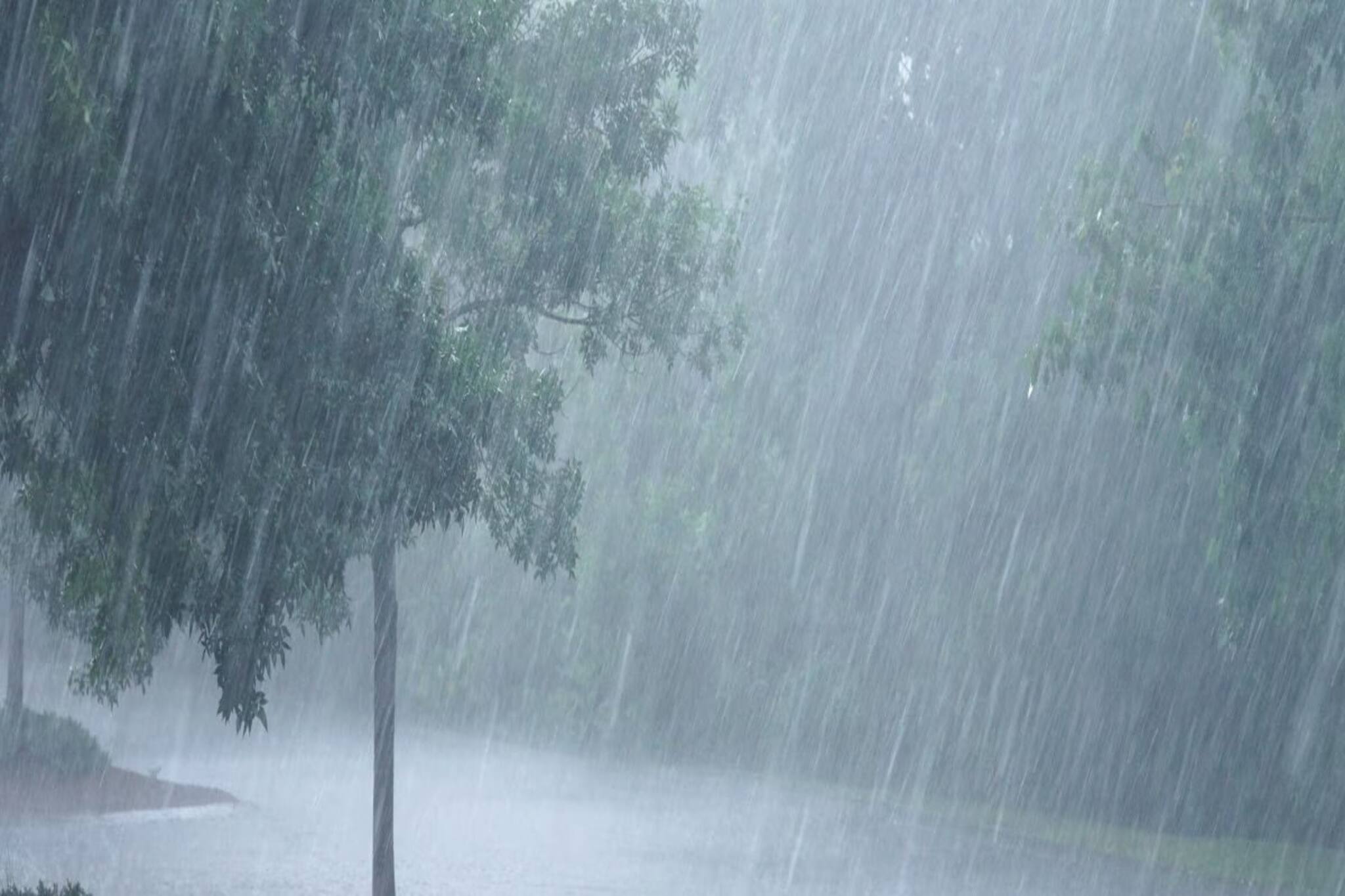 ৫ রাজ্যে ভারী বৃষ্টির সতর্কতা...! শৈত্যপ্রবাহ কাঁপাবে ৬ রাজ্য! কী হবে বাংলায়?