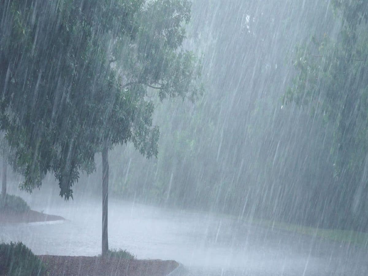 IMD Weather Update: ৫ রাজ্যে ভারী বৃষ্টির সতর্কতা...! শৈত্যপ্রবাহ কাঁপাবে ৬  রাজ্য! আগামী ৪৮ ঘণ্টায় কী হতে চলেছে বাংলায়? জানিয়ে দিল IMD Heavy  Rainfall Forecast ...
