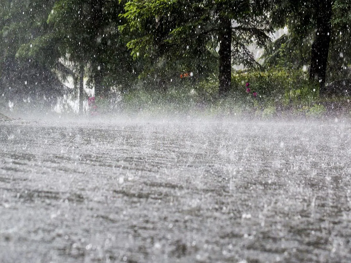 এই রাজ্যগুলিতে বৃষ্টির সতর্কতা:আবহাওয়া অধিদফতরের মতে, দক্ষিণ-পশ্চিম বঙ্গোপসাগরের উপর অবস্থিত নিম্নচাপটি একটি ঘূর্ণাবর্ত সঞ্চালনে পরিণত হচ্ছে যা উত্তর-পশ্চিম দিকে উত্তর তামিলনাড়ু এবং দক্ষিণ দিকে অগ্রসর হওয়ার সম্ভাবনা রয়েছে।