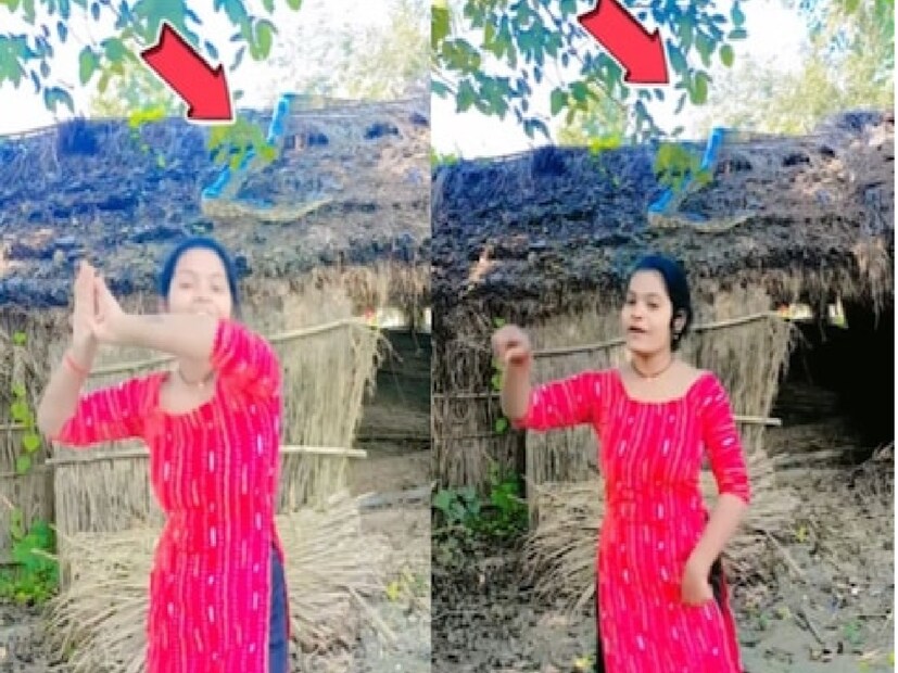 কুঁড়ে ঘরে হানা দিয়েছিল এই বিশাল পাইথন! চালের উপর 'হিস হিস' শব্দ শুনে ঘর থেকে বেরিয়ে এলেন সবাই। তার পরেই ভয়ে শিউরে উঠলেন! কিন্তু কিশোরী মেয়েটি একটুও ভয় পেল না। 