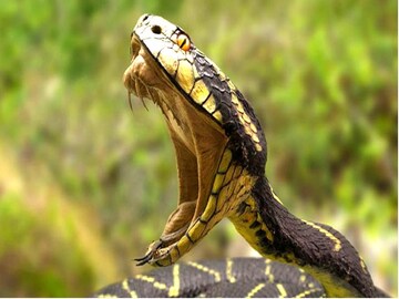 শীতেও