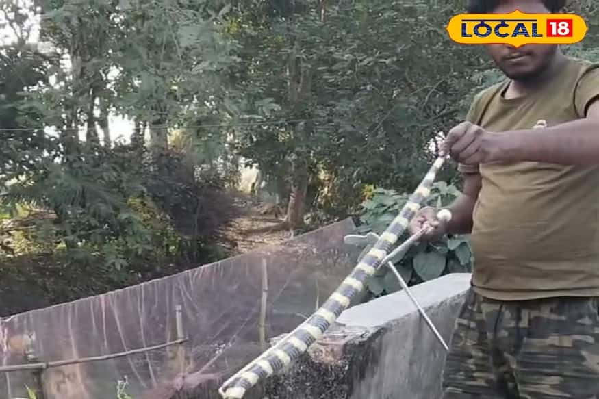 সাপ দেখলে মানুষের মধ্যে মেরে দেওয়ার প্রবণতা ছিল বেশি।