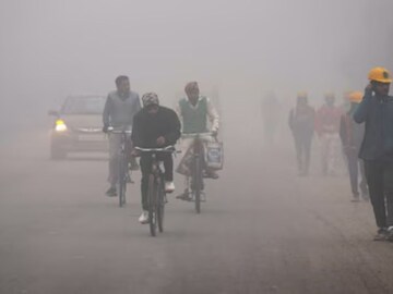 রবিবার কনকনে ঠান্ডা উত্তরবঙ্গের একাধিক জেলায়! কুয়াশায় ঢাকা পাহাড়