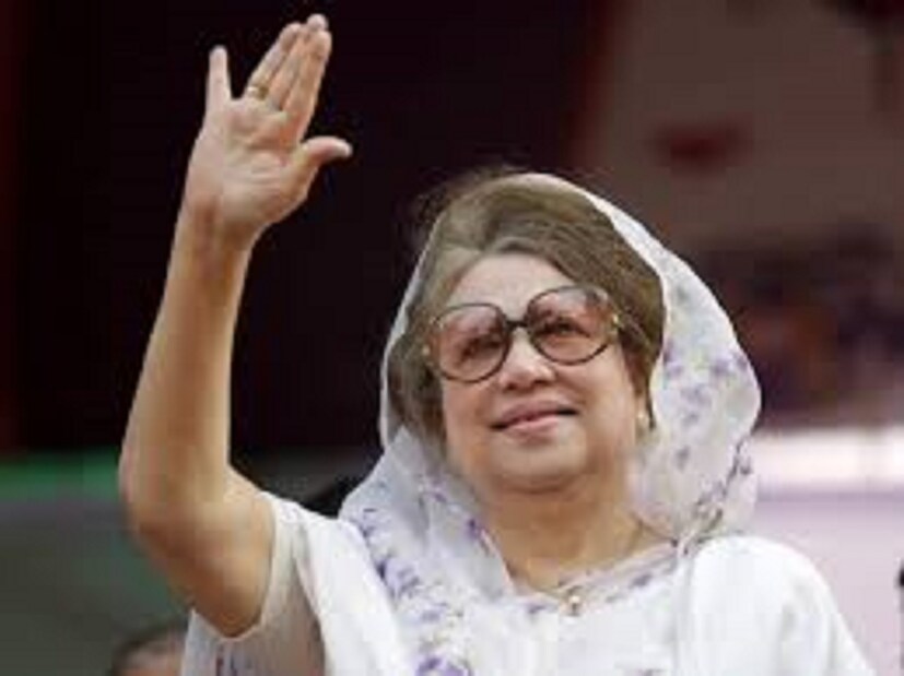 রায়ে আদালত বলেছে, প্রতিহিংসার বশবর্তী হয়ে এই মামলা করা হয়েছিল। এর মাধ্যমে খালেদা জিয়ার সম্মানহানি করা হয়েছে। 