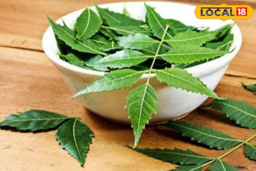 প্রথমে তাজা নিম পাতা ভাল করে ধুয়ে সেদ্ধ করে নিতে হবে। এরপর এই পাতাগুলো মিক্সারে রেখে ভাল করে পিষে নিতে হবে, যাতে একটি নরম পেস্ট তৈরি হয়। এবার এই পেস্টে ২-৩ চামচ অ্যালোভেরা জেল যোগ করতে হবে এবং ভাল করে মিশিয়ে নিতে হবে। তারপরে ২ চামচ দই এবং ১ চামচ নারকেল তেল যোগ করতে হবে এবং সবকিছু ভালভাবে মেশাতে হবে।