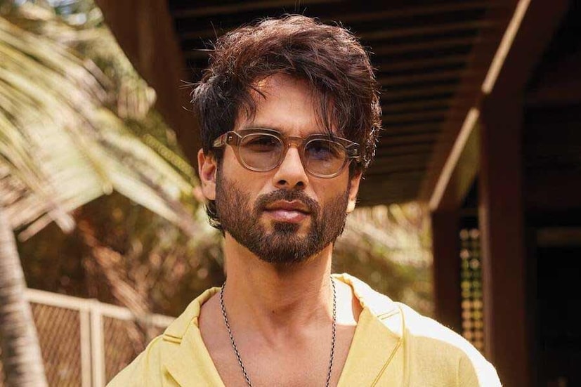 শাহিদ কাপুরের বলিউডে কোনও ‘গডফাদার’ নেই। সম্পূর্ণ নিজের চেষ্টায় বলিউডে পায়ের তলার জমি শক্ত করেন শাহিদ কাপুর। তিনি নিজে বলেছিলেন, তারকা-সন্তান না হলে বলিউডে কাজ পাওয়া সহজ নয়!