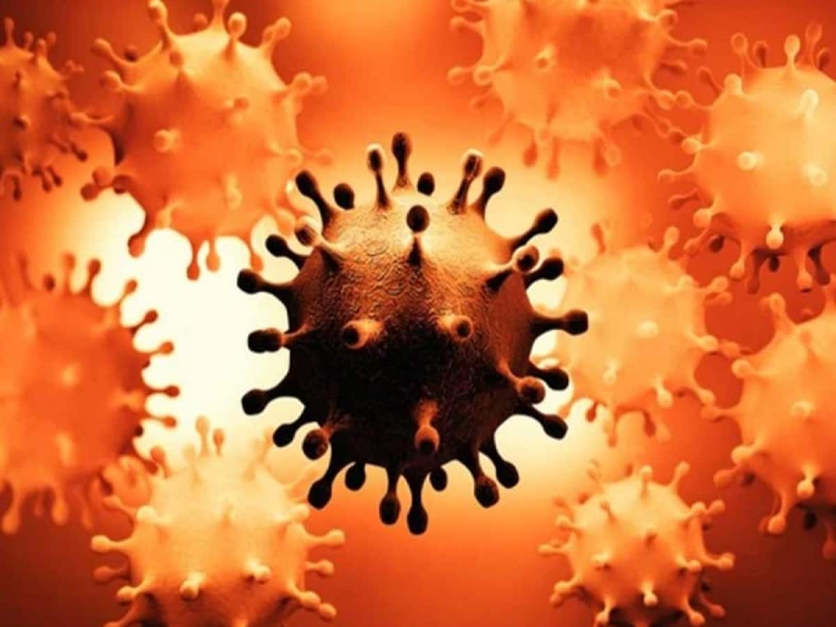 HMPV Virus Cases, HMPV Virus Cases in india, HMPV Virus Cases in china, HMPV symptoms, china virus, hmpv cases, china hmpv virus, HMPV positive cases in India, HMPV positive children, Nagpur HMPV cases, Bengaluru HMPV cases, Gujarat HMPV cases, Tamil Nadu HMPV cases, Kolkata HMPV cases