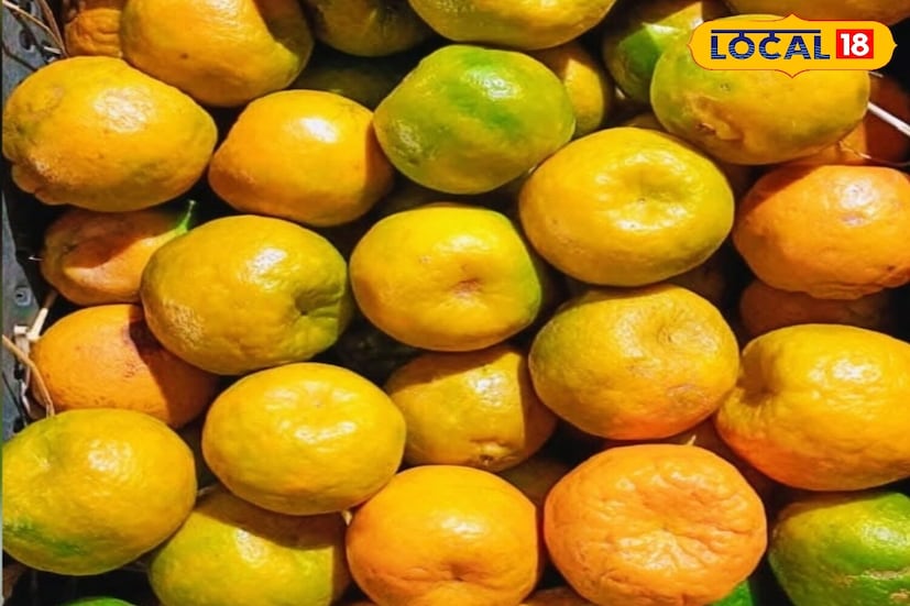 ঠান্ডা আবহাওয়ায় ডায়াবেটিস রোগীদের জন্য কমলা খুবই উপকারী। কমলার গ্লাইসেমিক ইনডেক্স ৩৫। এমন অবস্থায় গ্লাইসেমিক ইনডেক্স কম থাকায় শরীরে সুগার লেভেল খুব ধীরে বাড়ে। খুব কম।