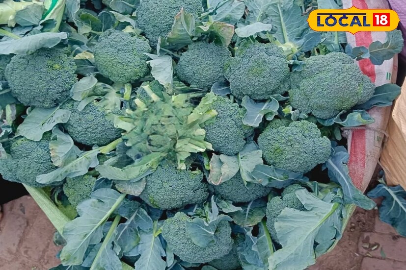 ব্রকলি ফুলকপির মতোই একটি সবজি। এটি সুপার ফুড হিসেবে ব্যবহার করা যায়। এটিতে অ্যান্টিঅক্সিডেন্ট এবং অ্যান্টি-ডায়াবেটিক বৈশিষ্ট্য রয়েছে। এই কারণে, এটি রক্তে শর্করা নিয়ন্ত্রণে খুব সহায়ক বলে প্রমাণিত হয়।
