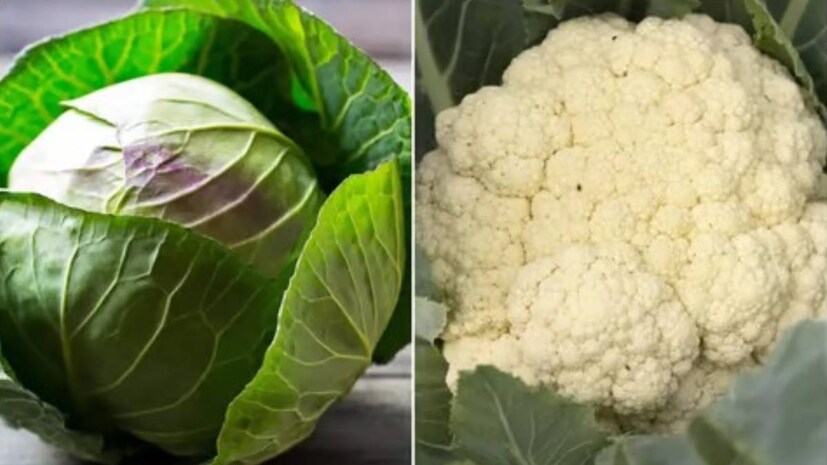 কপি মস্তিষ্ক ভাল রাখে, ওজন কমায় এবং সর্দি-কাশিসহ নানা রোগ প্রতিরোধ করে কপিতে রয়েছে দাঁত ও মাড়ির উপকারী ক্যালসিয়াম ও ফ্লোরাইড। এর ক্যালসিয়াম হাড় শক্ত করে। 