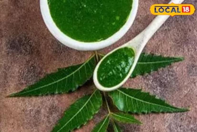 কেউ যদি এই সমস্যায় ভুগে থাকেন, তাহলে আমরা তাঁদের জন্য নিয়ে এসেছি একটি হেয়ার মাস্ক, যা সহজেই ঘরেই তৈরি করা যেতে পারে। এতে আমরা নিম পাতা এবং অ্যালোভেরা ব্যবহার করব, যা চুলের জন্য খুবই উপকারী।
